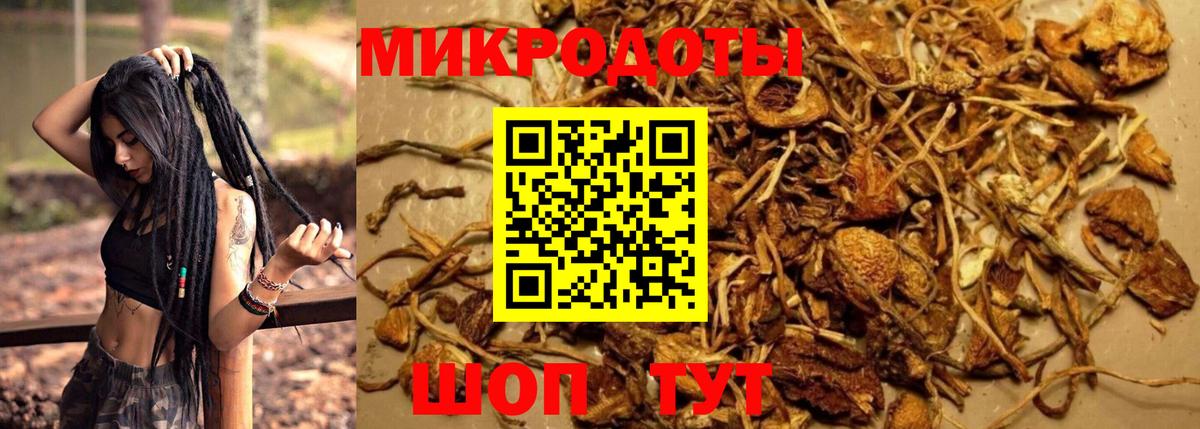 Псилоцибиновые грибы Psilocybe  Вход с VPN  Коломна 