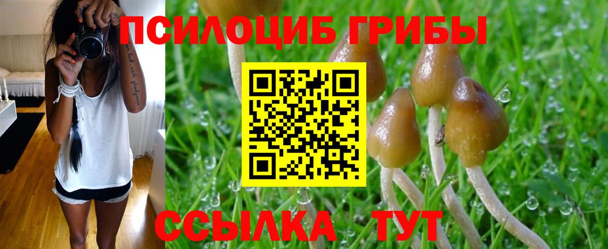 Псилоцибиновые грибы мухоморы Коломна